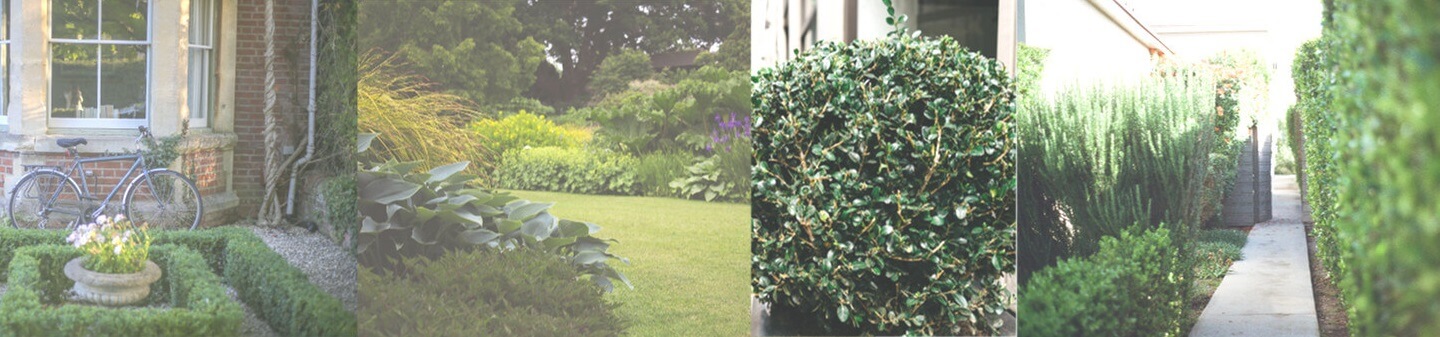 Freddies Gardening