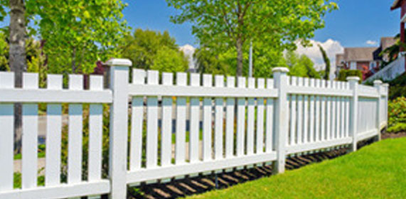 Fotos - Oaklands Tree Specialists Ltd - 2
