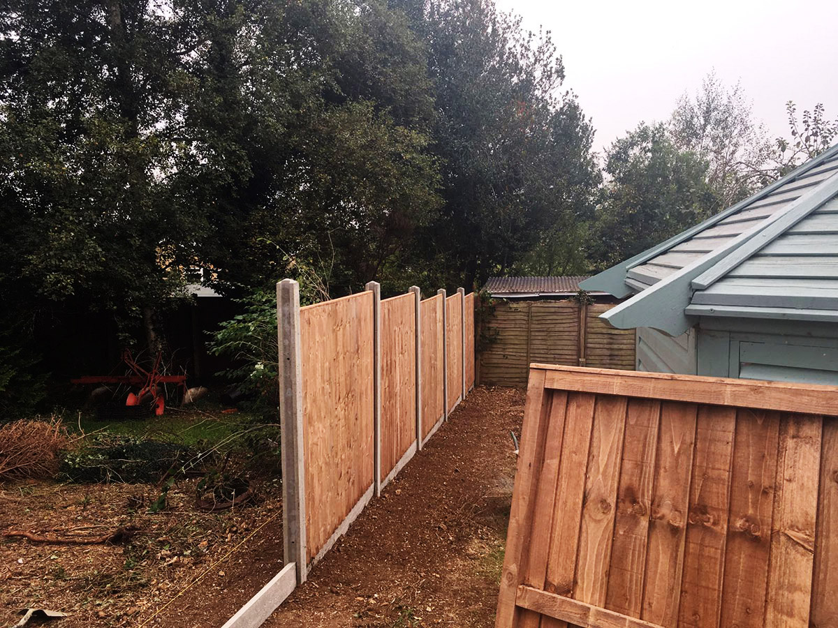 Fotos - Oaklands Tree Specialists Ltd - 3