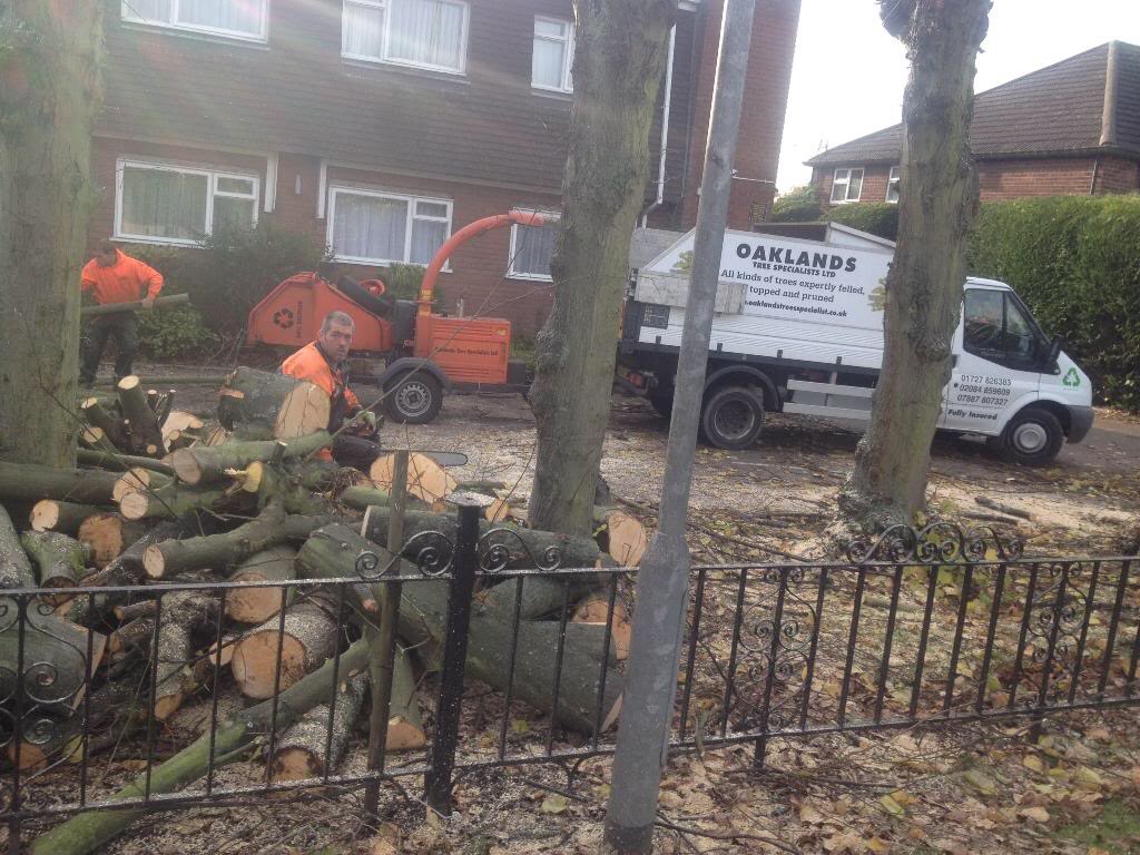 Fotos - Oaklands Tree Specialists Ltd - 4